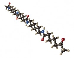 Nylon molecular model